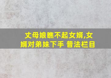 丈母娘瞧不起女婿,女婿对弟妹下手 普法栏目